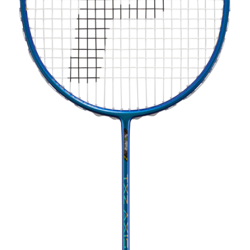 ウインザーオンラインショップ【張り工賃別】プリンス ティーエックス