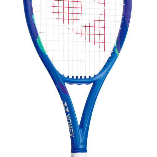 ウインザーオンラインショップヨネックス Eゾーン 100 ツアー （YONEX