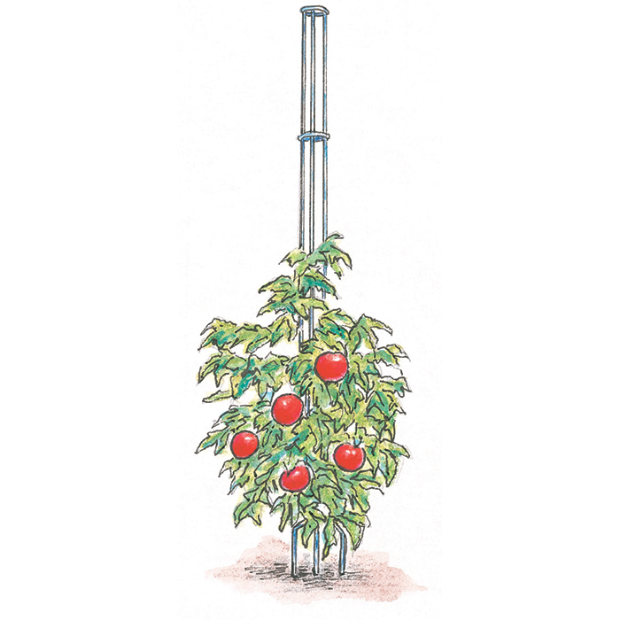 Tomato Tower, Tomato Gardening: Totally Tomatoes