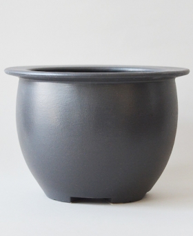 多肉植物・特別な鉢の販売 | トーキー | TOKY