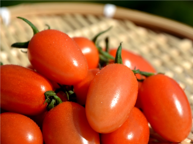 とまとさん専用 農林水産大臣賞を受賞した「湘南とまと工房」のトマトジュース 10本