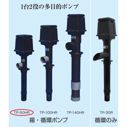 TANI FISH FARM｜千葉県で錦鯉をお探しならこちら