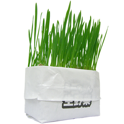 たのめーる】イデシギョー 猫草 ミーちゃんスッキリ生野菜 1パック(2個