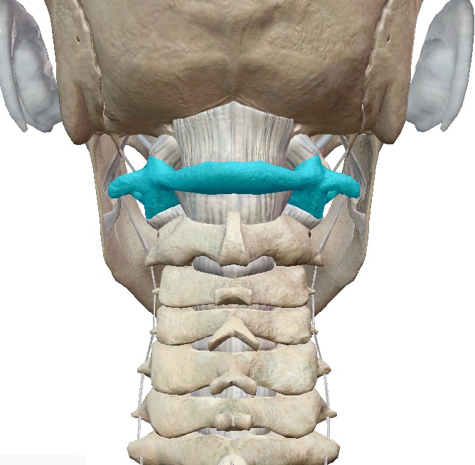 施術内容について | AOカイロプラクティック