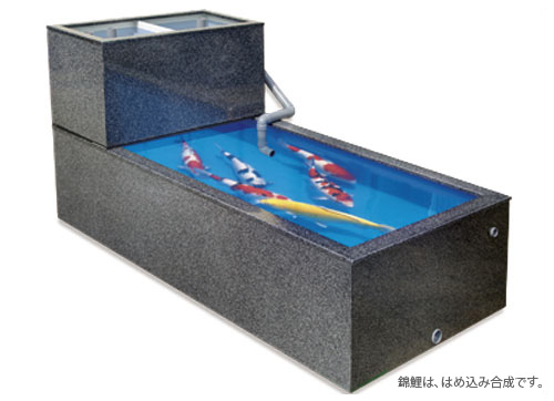 錦鯉の美しさが抜群に映える｜規格FRP大型水槽｜テクノ販売株式会社