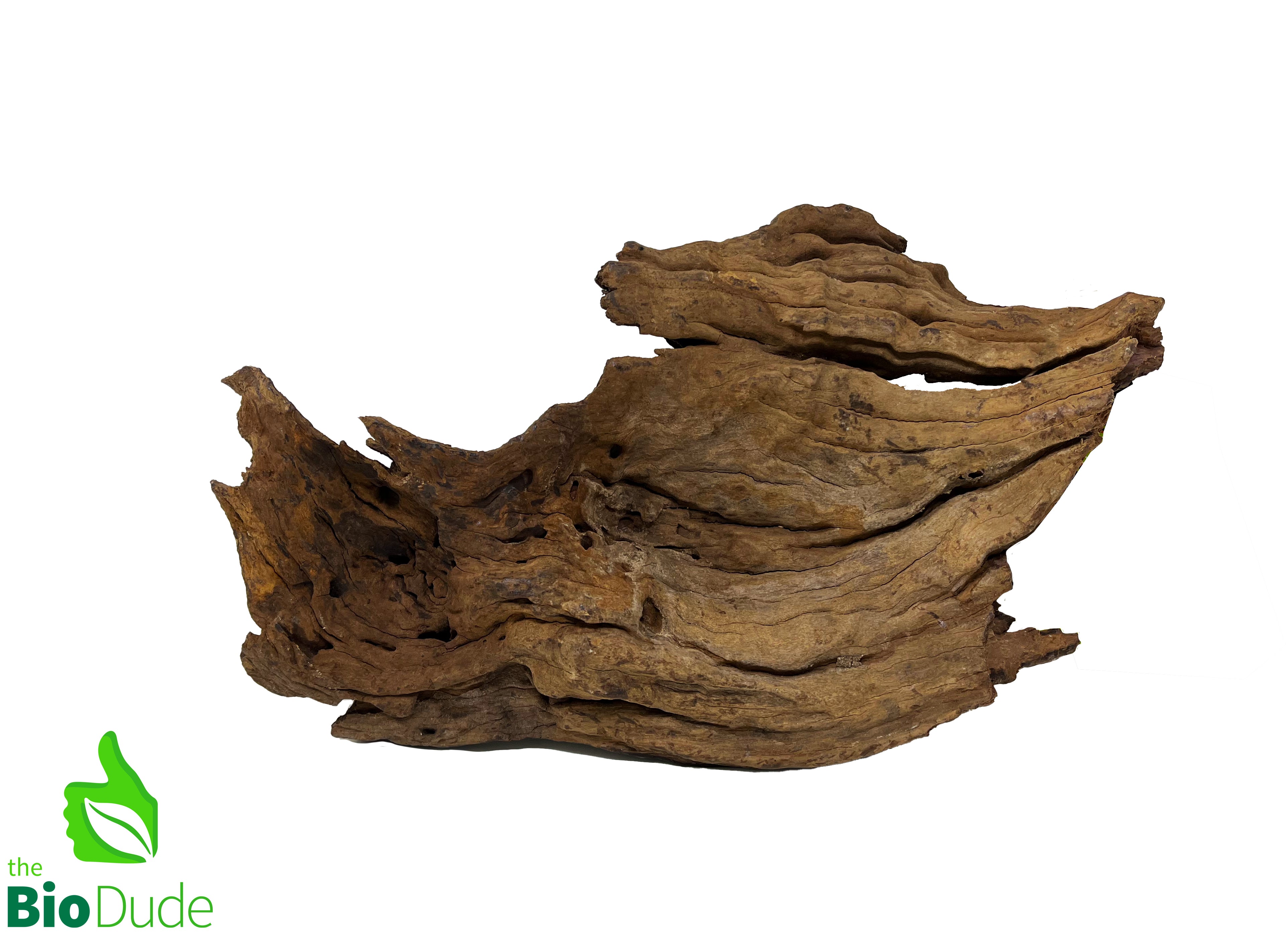 Malaysian Driftwood for aquariums and bioactive terrariums – The