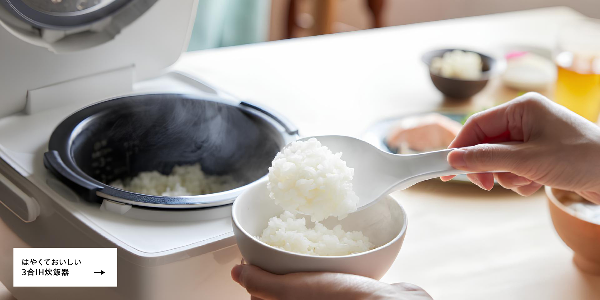 株式会社ツインバード