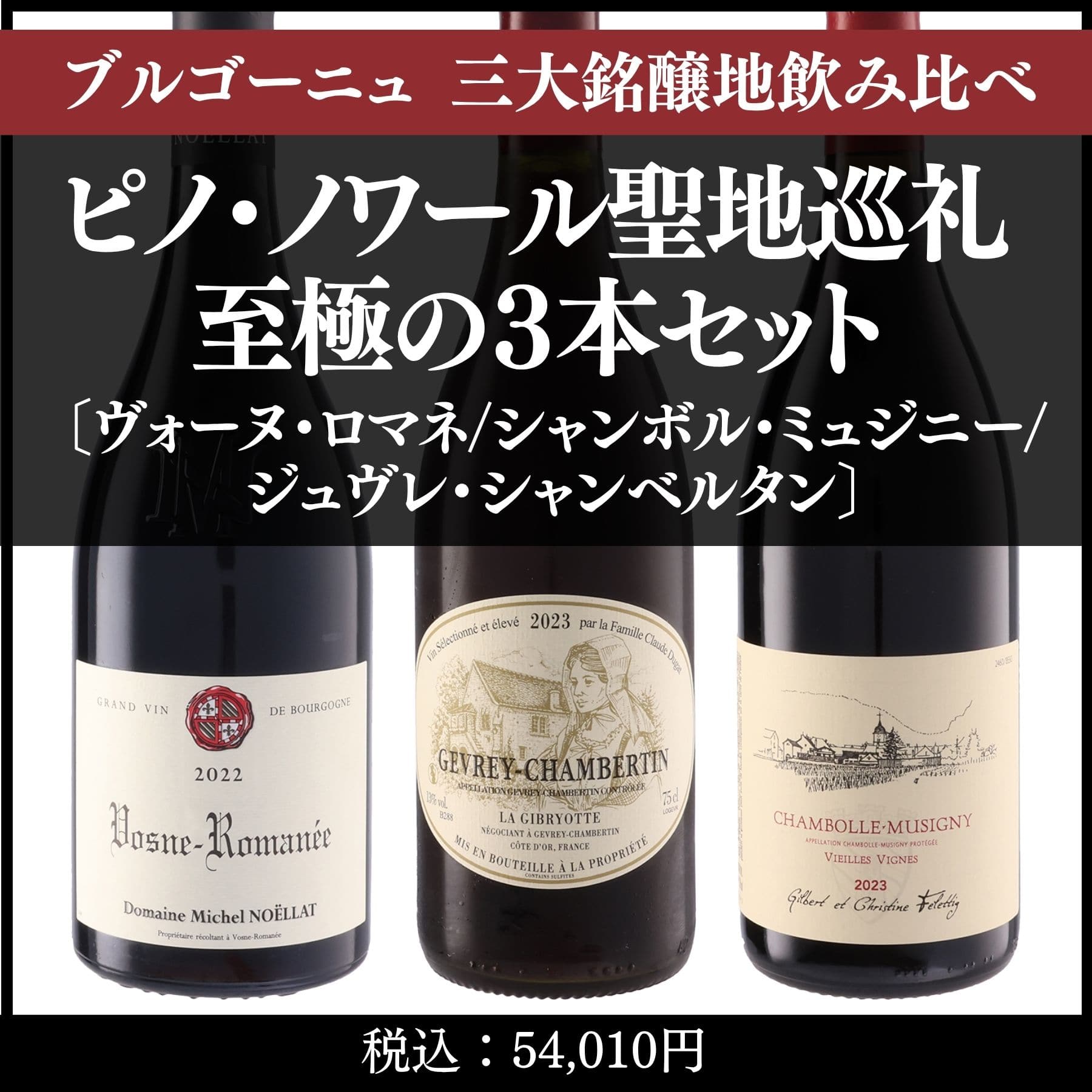 ジュヴレ・シャンベルタン 同一ワイン ヴィンテージ飲み比べ2本セット