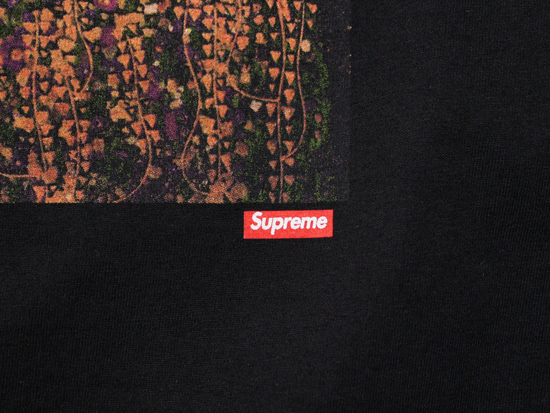 Supreme - Vienna Tee - UG.SHAFT