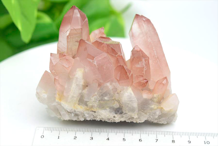 ピンクレムリアン クラスター 原石｜レムリアンシードクリスタル