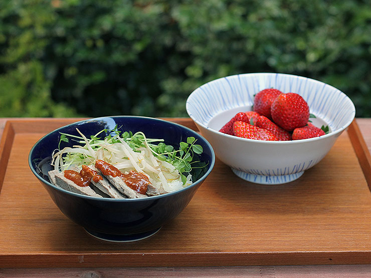 うつわ工房・かいらぎ丼／麺鉢/丼/カレー皿/パスタ皿｜和食器・種類