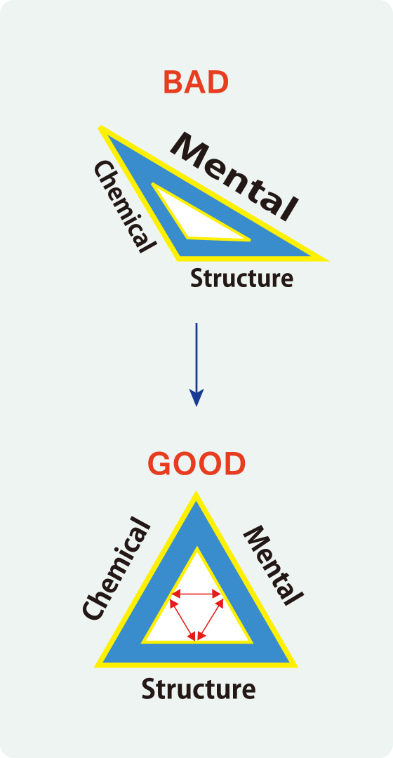 VOSのアプローチ アプライド・キネシオロジー｜南青山のカイロ