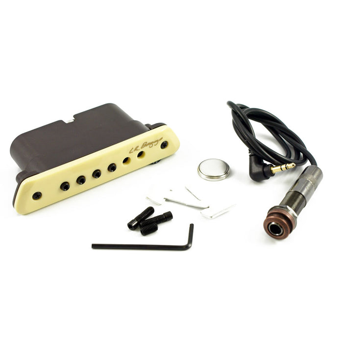 LR Baggs M1 Active Magnetic Acoustic Soundhole Pickup | Vision Guitar