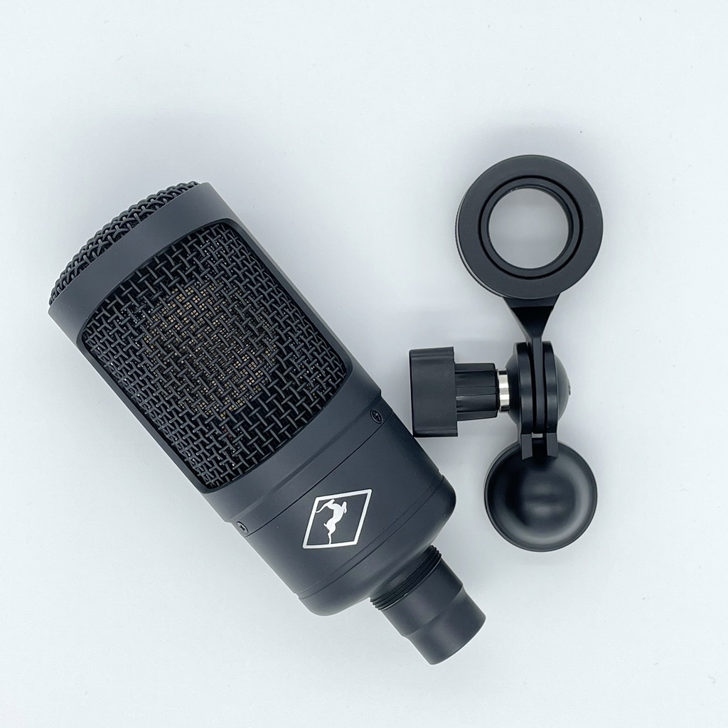 Zen GO Synergy Core | find Yourrhythm