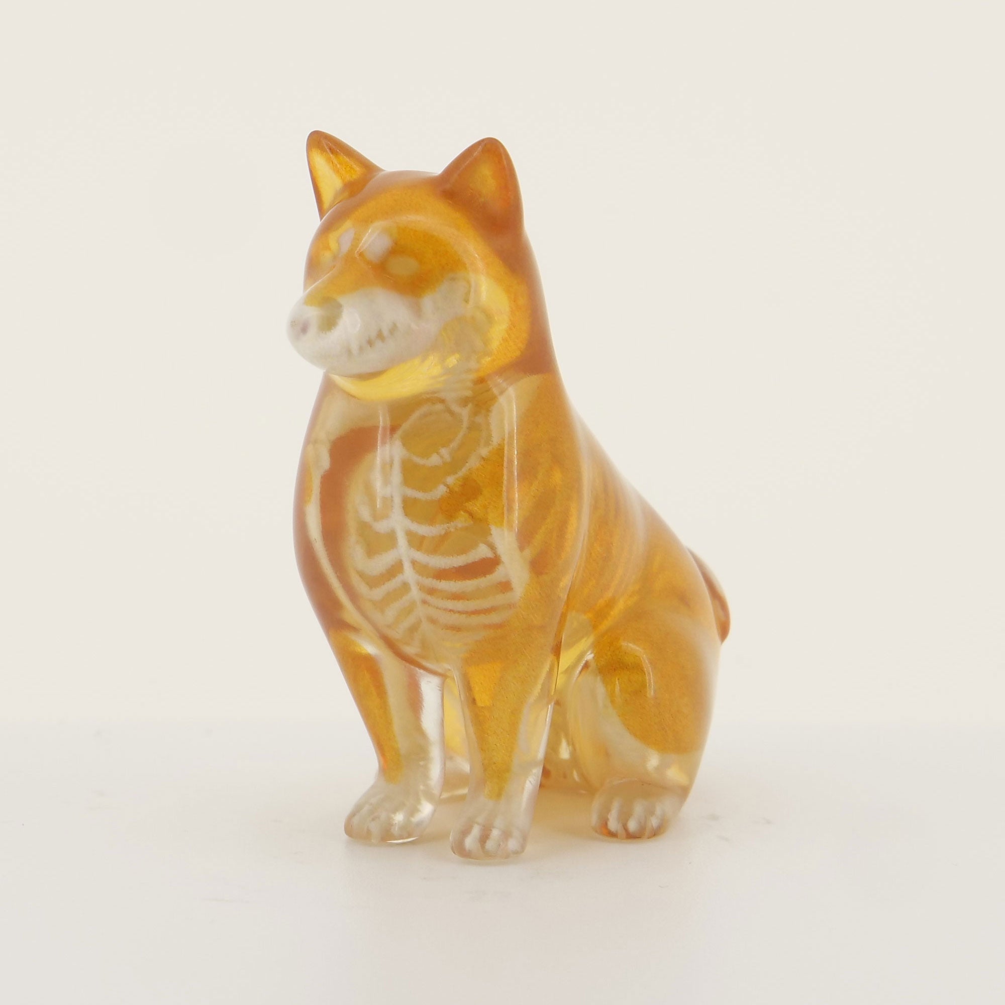 玉骨標本カラー版 – 合同会社吉本アートファクトリー