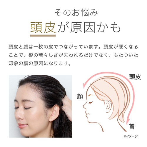 ミーゼ ニードルヘッドスパリフト アクティブ｜ヤーマン公式通販サイト