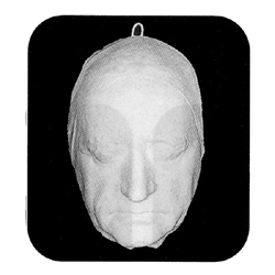 石膏像 ヨハン・ヴォルフガング・フォン・ゲーテ デスマスク 石膏像