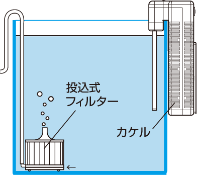 カケル｜ゼンスイ株式会社