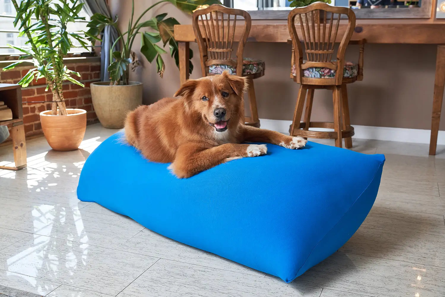 公式】Yogibo Lounger Premium（ヨギボー ラウンジャー プレミアム