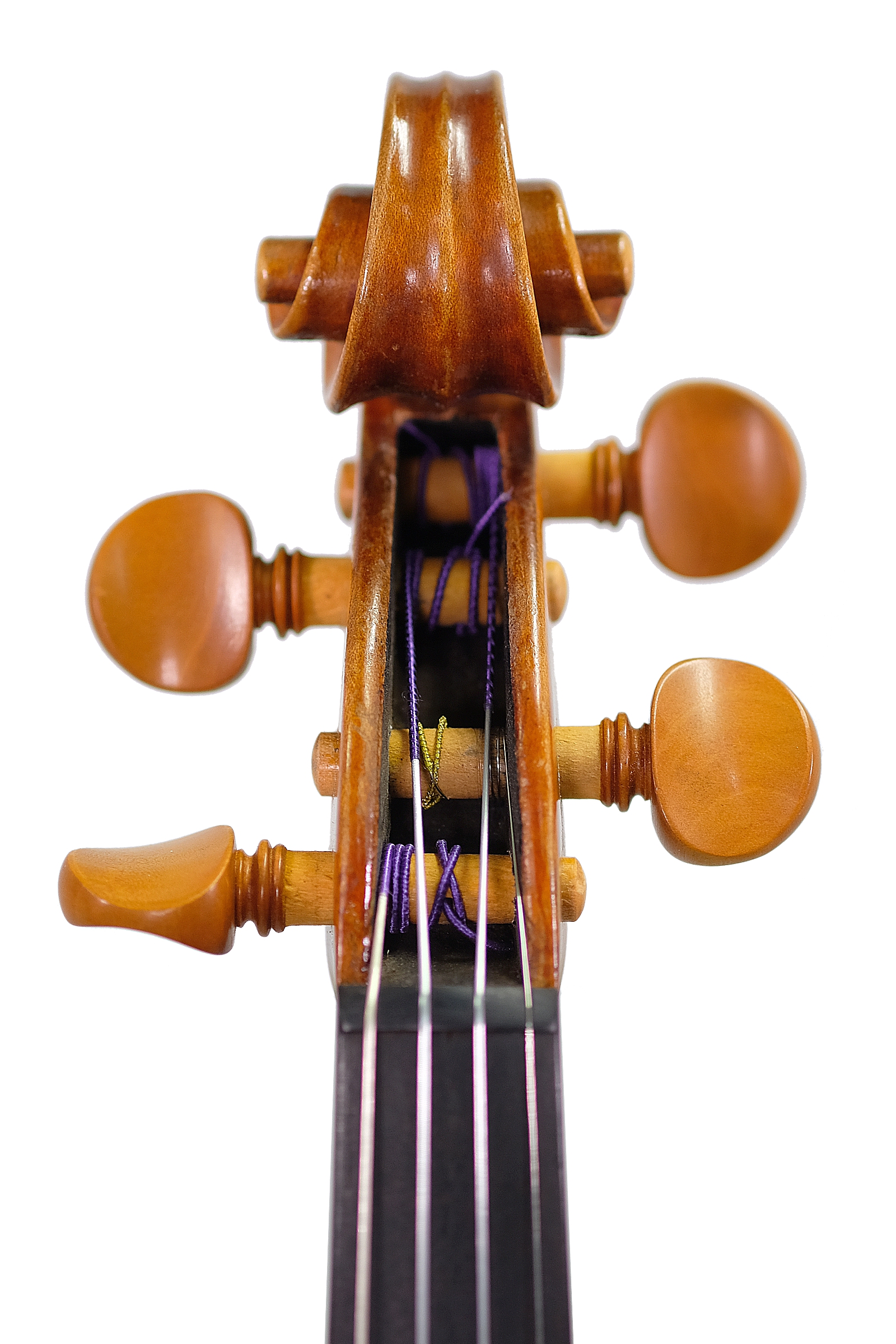 弦楽器 43-zoo 弦楽器 43-zoo 弦楽器 43-zoo 弦楽器 43-zoo 楽器