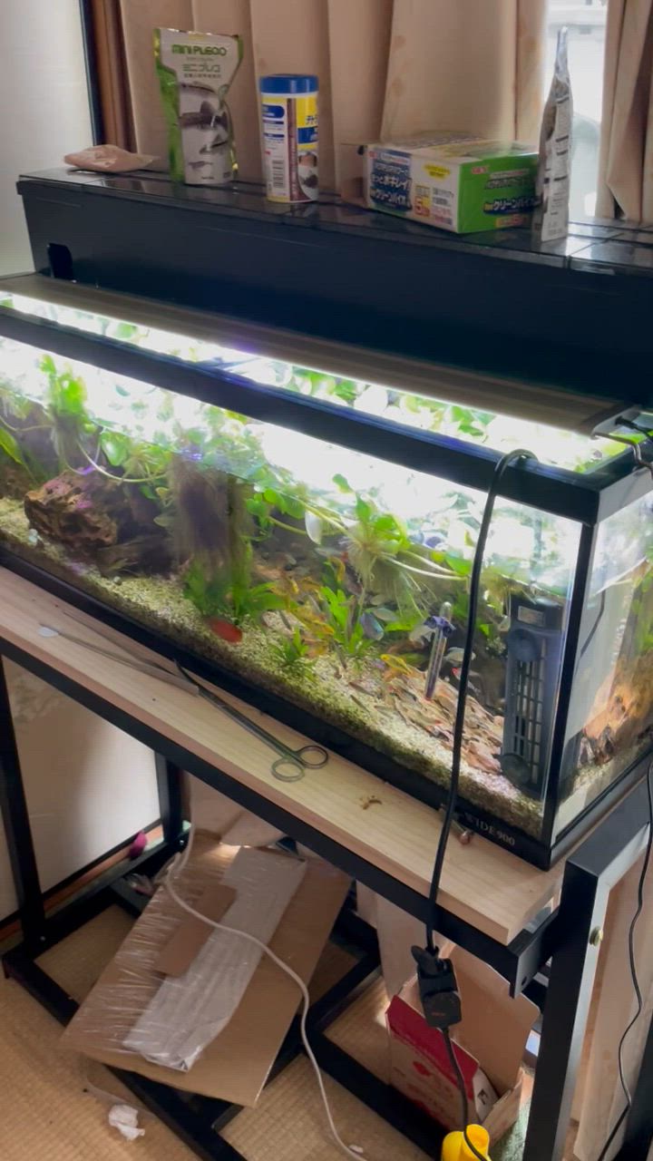 MDW-7159特大ブランチウッド アクアリウム・DIY向け 特大サイズ塊根