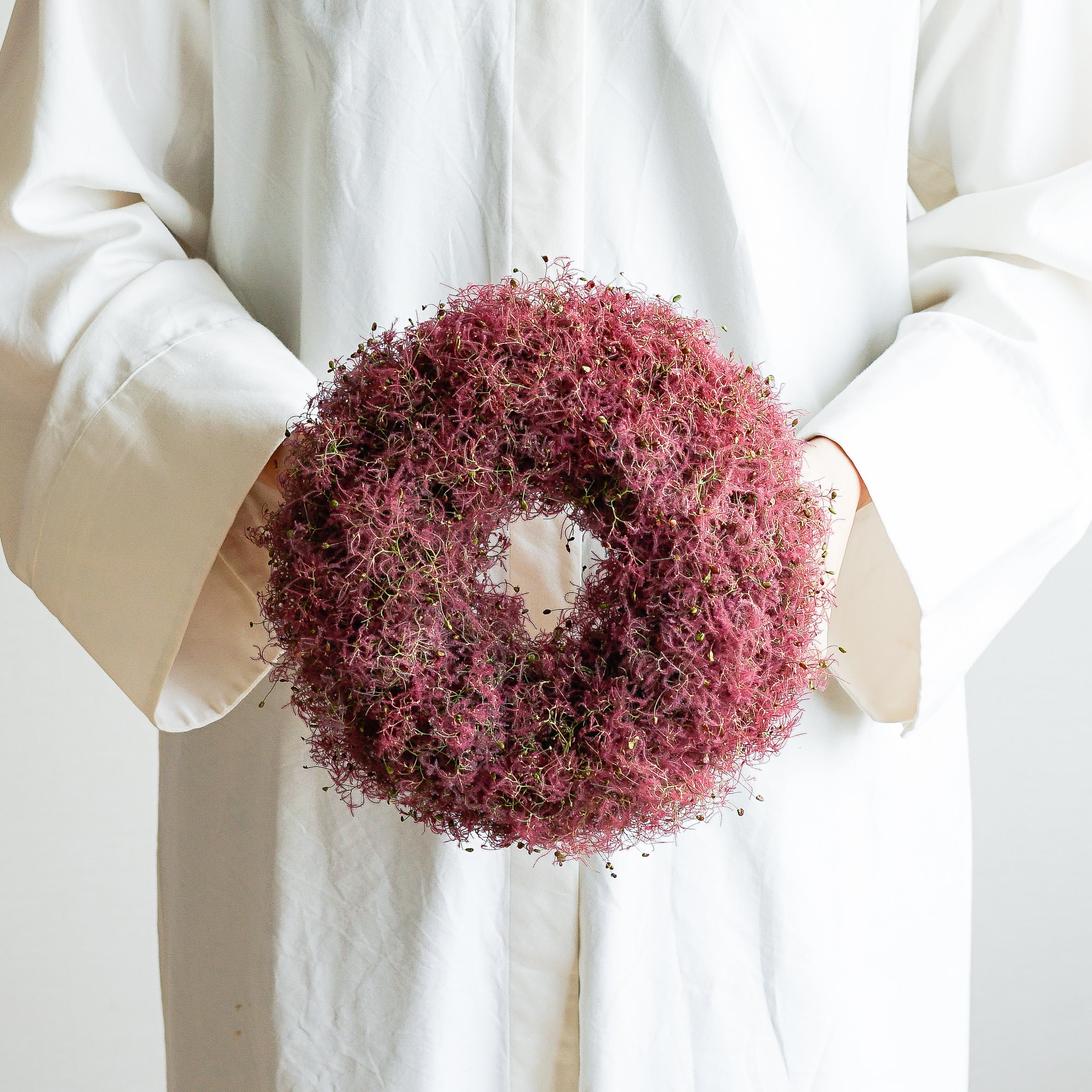 Nao＊パンパスグラスとスモークツリーのアンティーク調リース＊№656 他