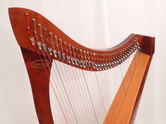 高額買取実施中!!】Salvi サルヴィ レバーハープ AIDA 34弦 | 楽器買取