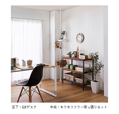 DRAW A LINE(ドローアライン) モリモリツリー 突っ張りセット ブラック