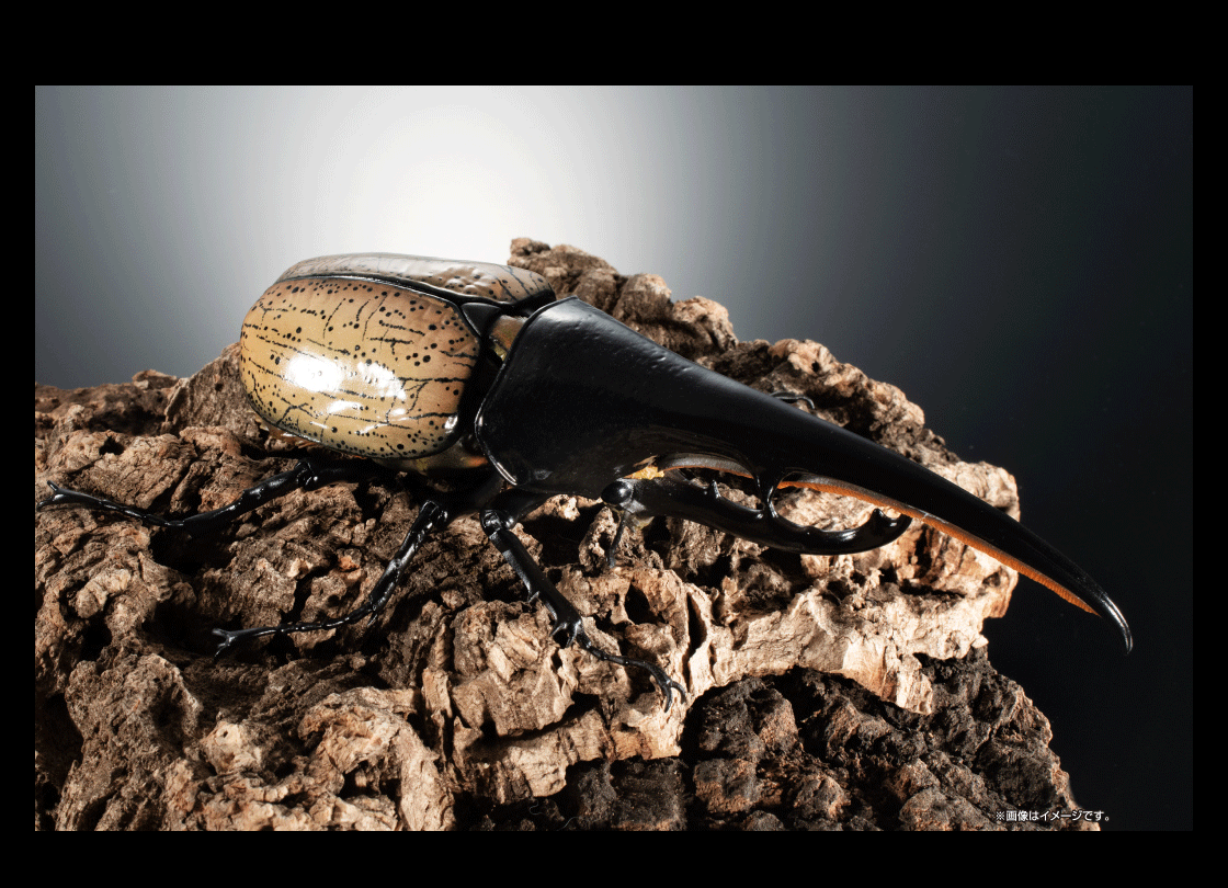いきもの大図鑑プレミアム ヘラクレスオオカブト（ヘラクレス