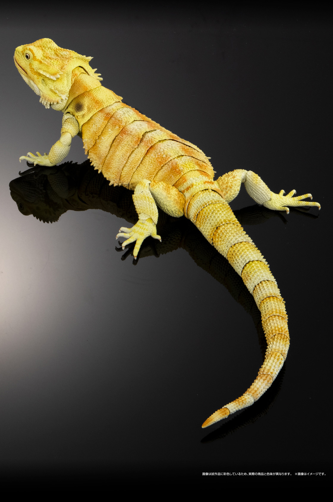 いきもの大図鑑プレミアム フトアゴヒゲトカゲ｜いきもの大図鑑