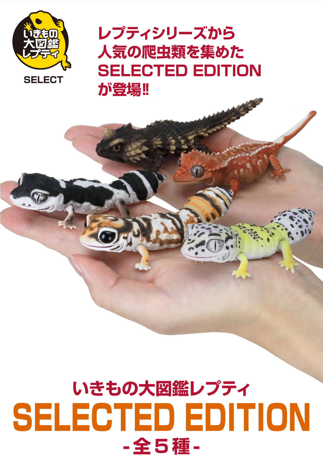 いきもの大図鑑レプティ セレクテッドエディション｜いきもの大図鑑