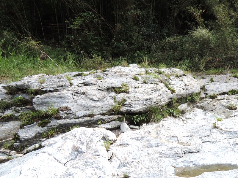 板村地質研究所｜砂金の調査記録（4）――徳島県吉野川流域の砂金を探る