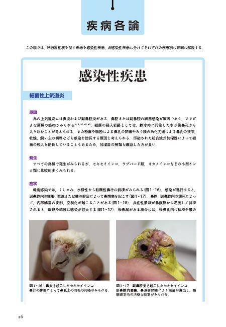 株式会社学窓社