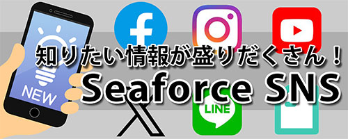 S&F 超音波洗浄器アースショックmini | 洗浄・クリーニング