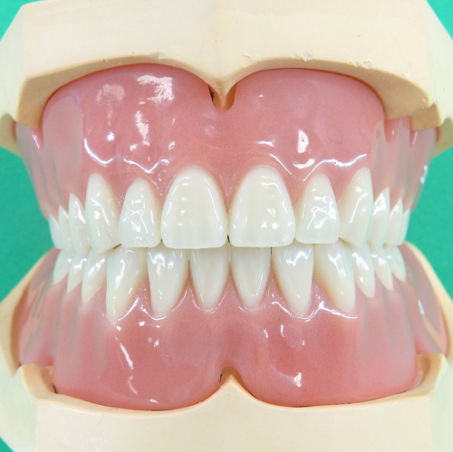 有床義歯技工学実習の様子をご紹介します！ | お知らせ | 愛知学院大学