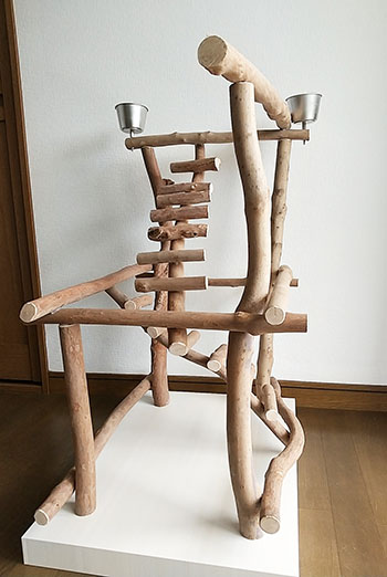 天然木白木バードジム 展示用】自然木（ツタ）のぐるぐるバード