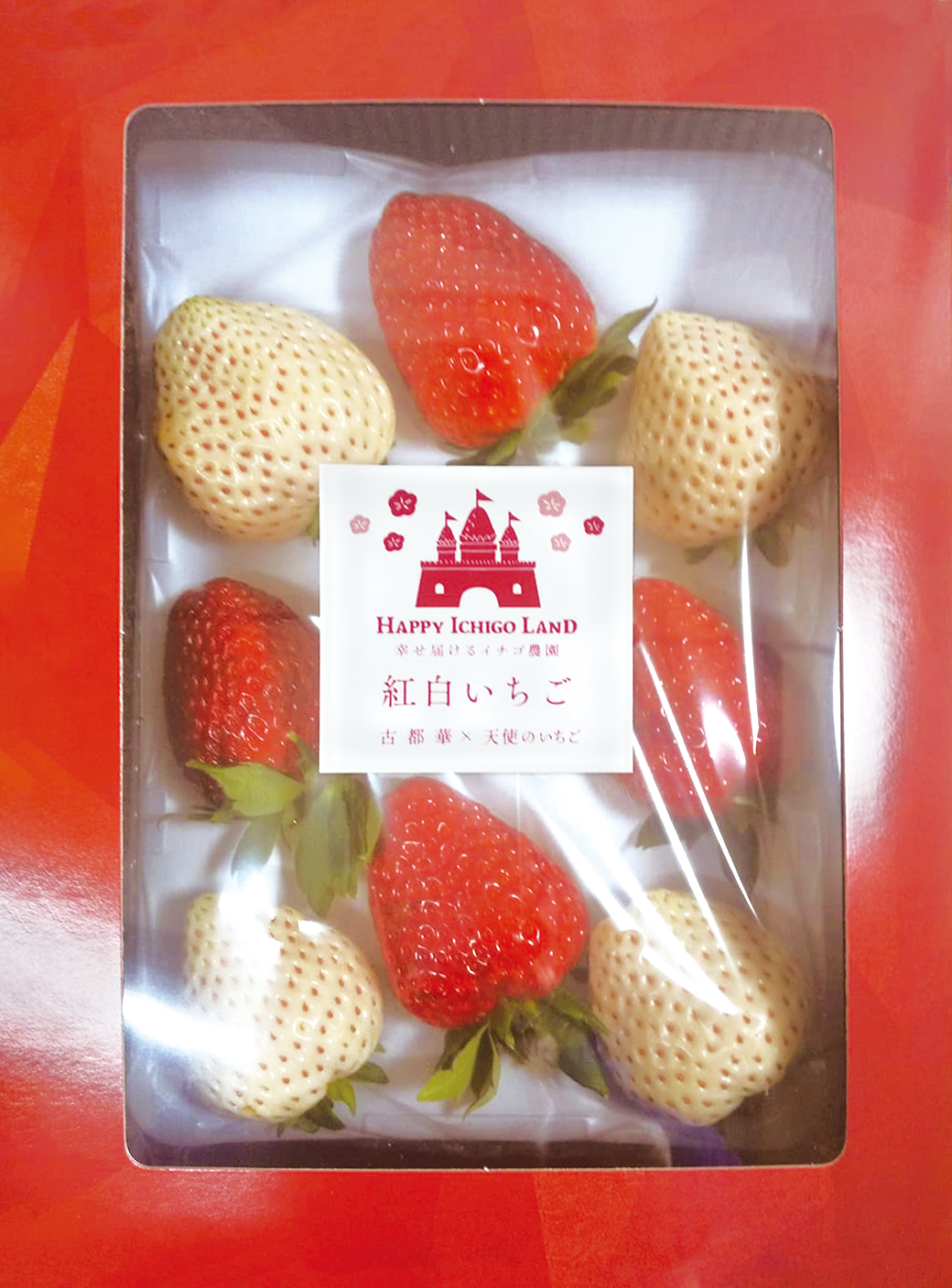 商品情報 - HAPPY ICHIGO LAND 幸せ届けるイチゴ農園