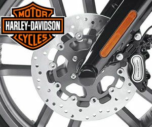 000000004499.jpg?t=20250117164956