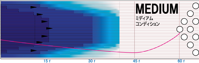 アブソリュート・パール - ハイスポーツ社 ：信頼のボウリング用品販売
