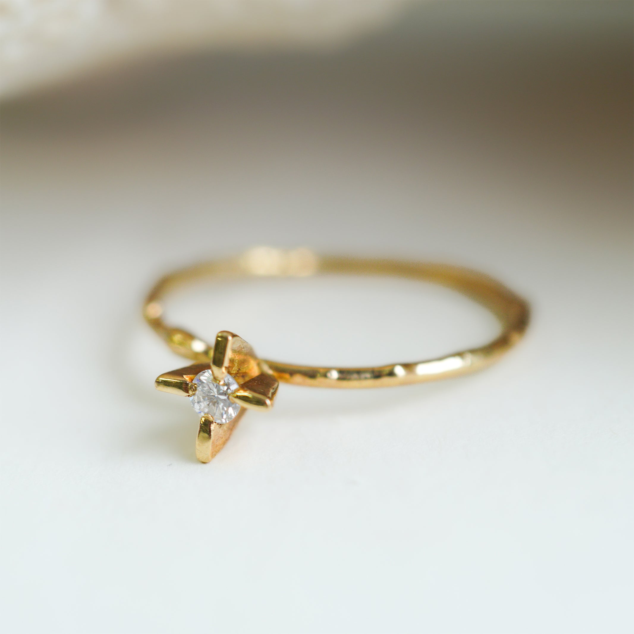 6FW – hirondelle et pépin(イロンデール エ ペパン)