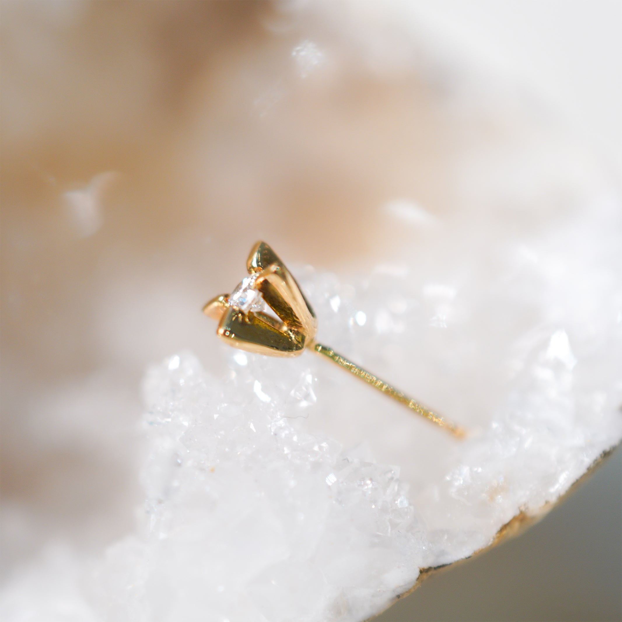 6FW – hirondelle et pépin(イロンデール エ ペパン)