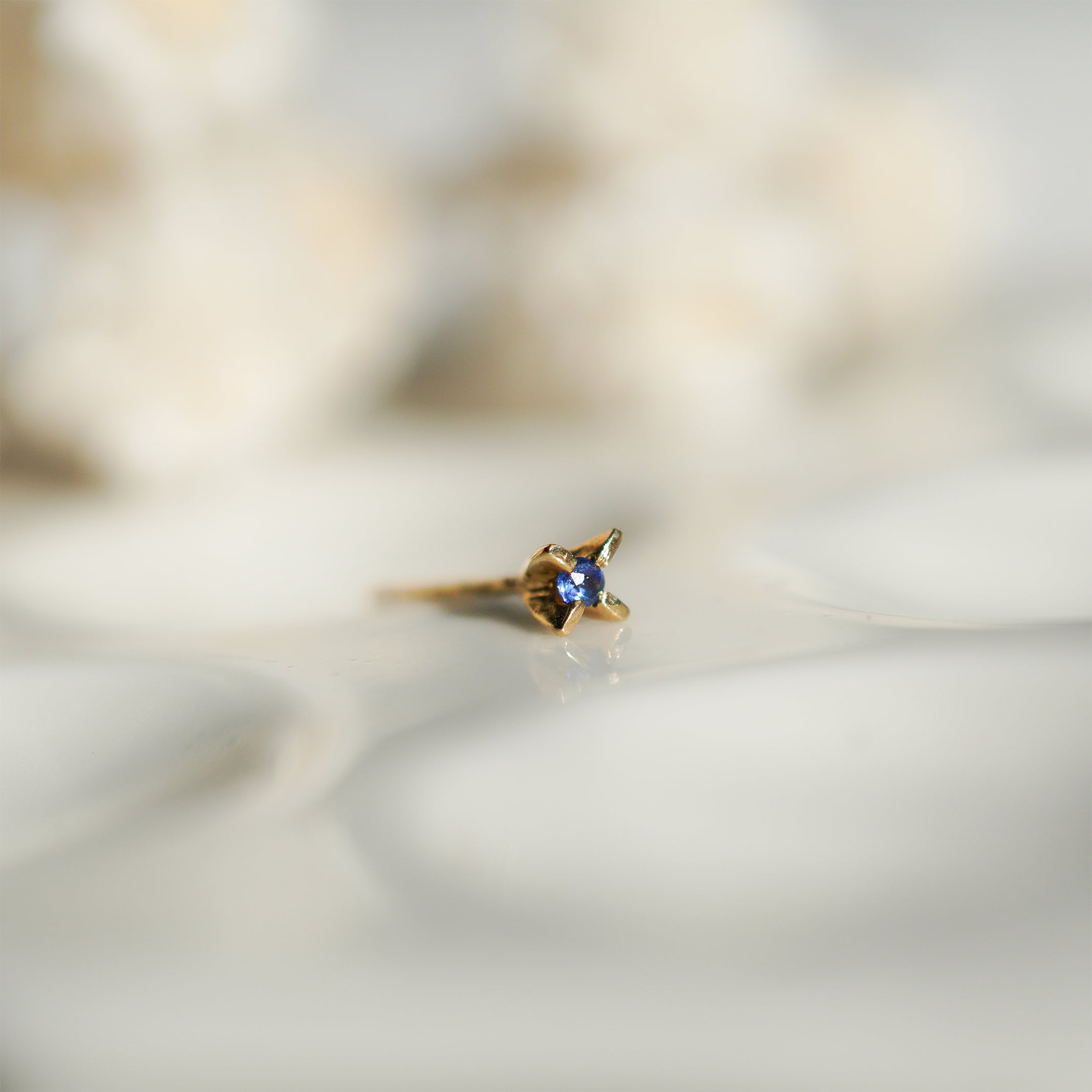 Pierce – hirondelle et pépin(イロンデール エ ペパン)