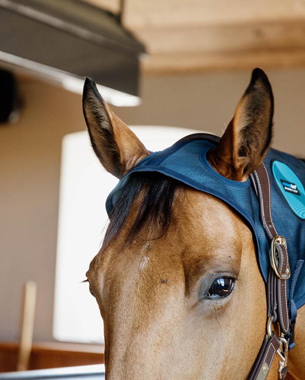 KENTUCKY＞ Magnetic Neck Protector Recuptex（マグネティック ネック