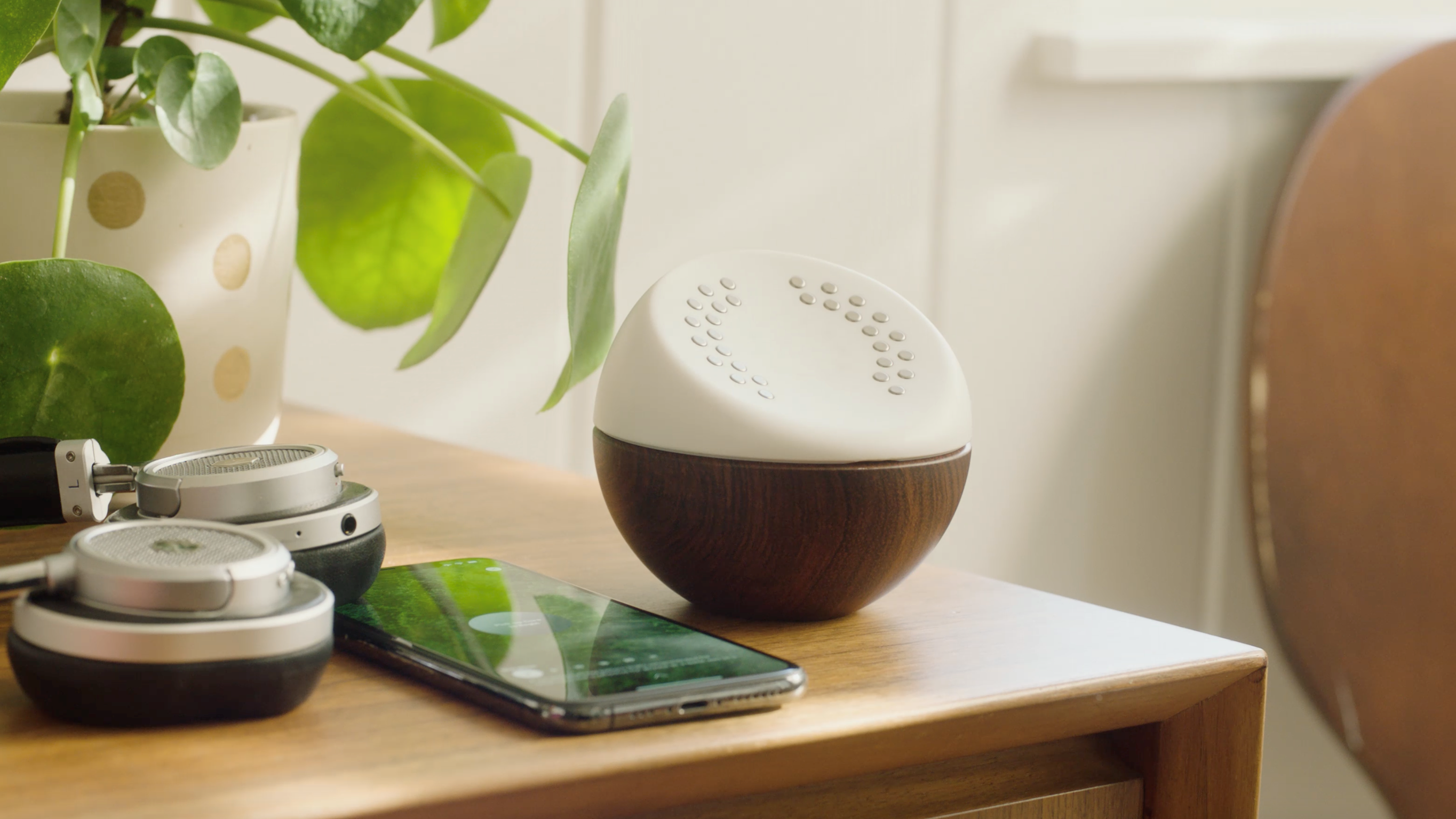 04dZ1zdQcR8ztfIAQ7AQzzL-1..