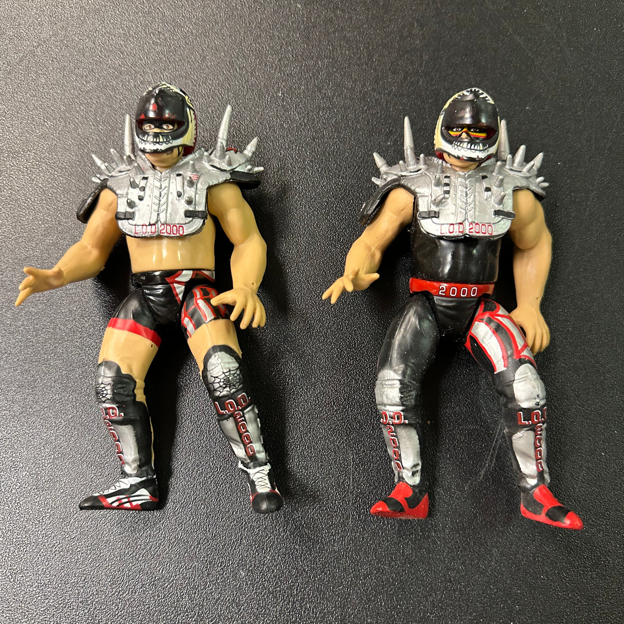 WWE リージョン•オブ・ドューム＆サニー WWE リージョン•オブ