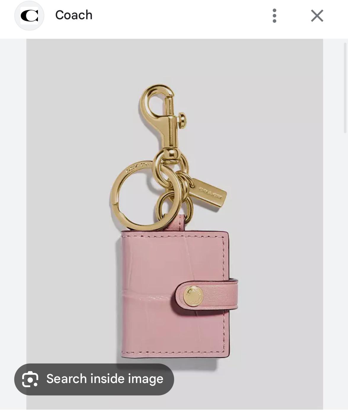 Picture Frame Bag Charm : r/Coach