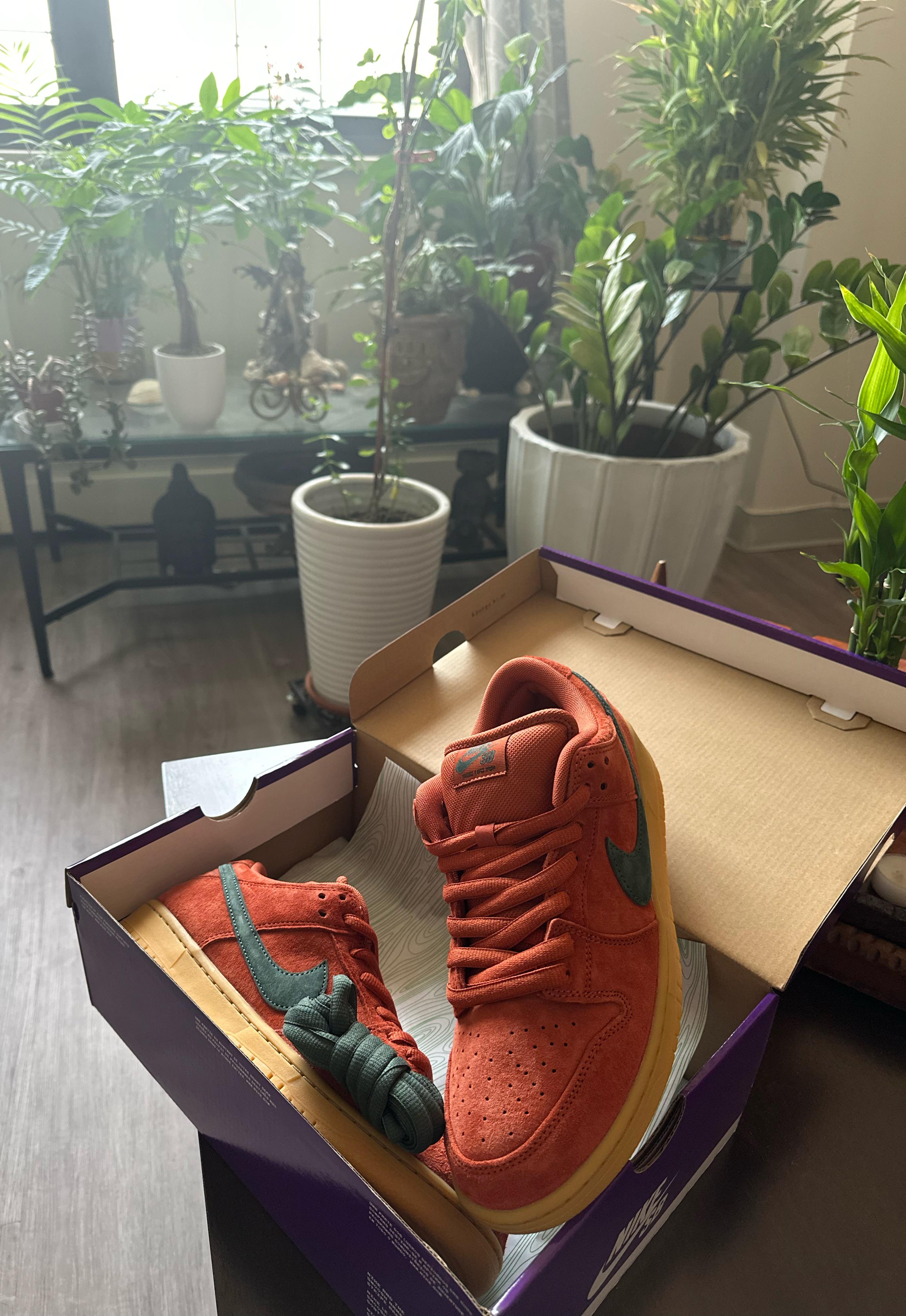 Nike SB Burnt Sunrise : r/DunksNotDead