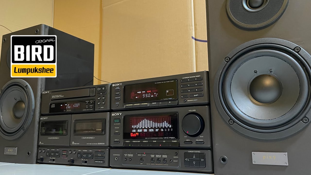 Sony MHC-P99X - YouTube