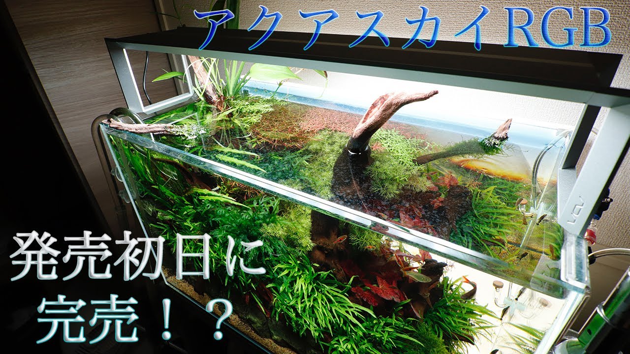 アクアスカイRGBを買ってみたら予想以上の性能だった！【アクアリウム