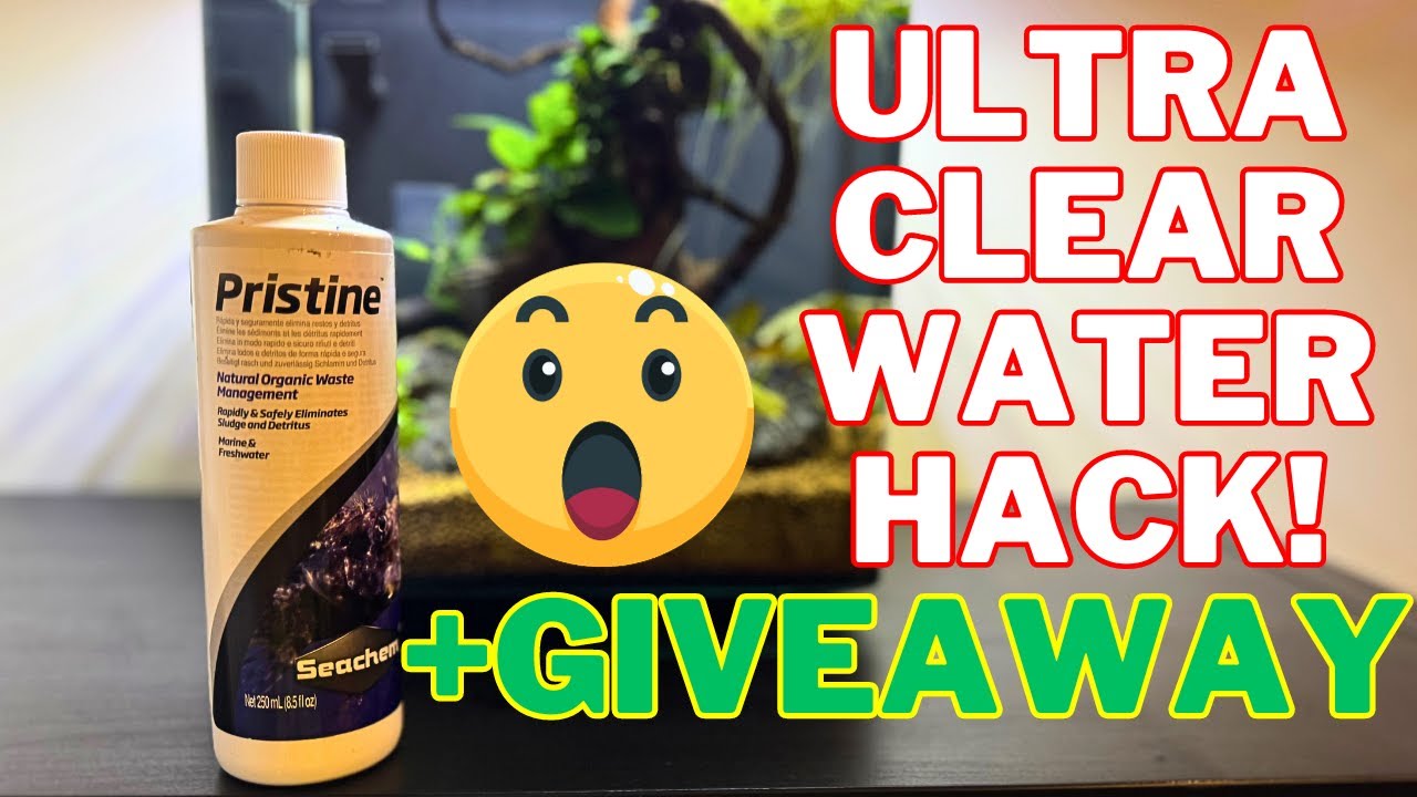 Seachem Pristine Review | How to Clear Aquarium Water + GIVEAWAY